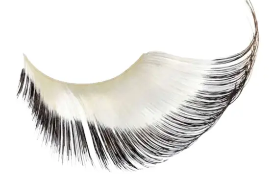 Kalentin Pestañas En Banda Fantasía Hampton